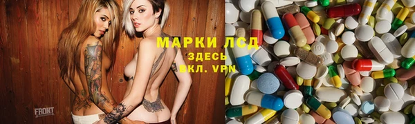 spice Алзамай