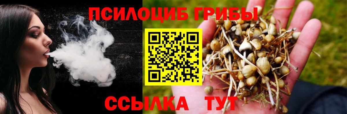 Ипатово  Галлюциногенные грибы Magic Shrooms  Вход с VPN 